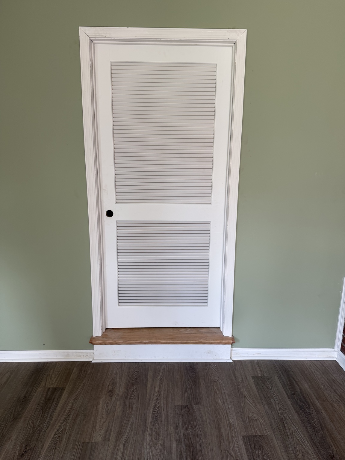Finished interior room with green walls, dark flooring, and white louvered door